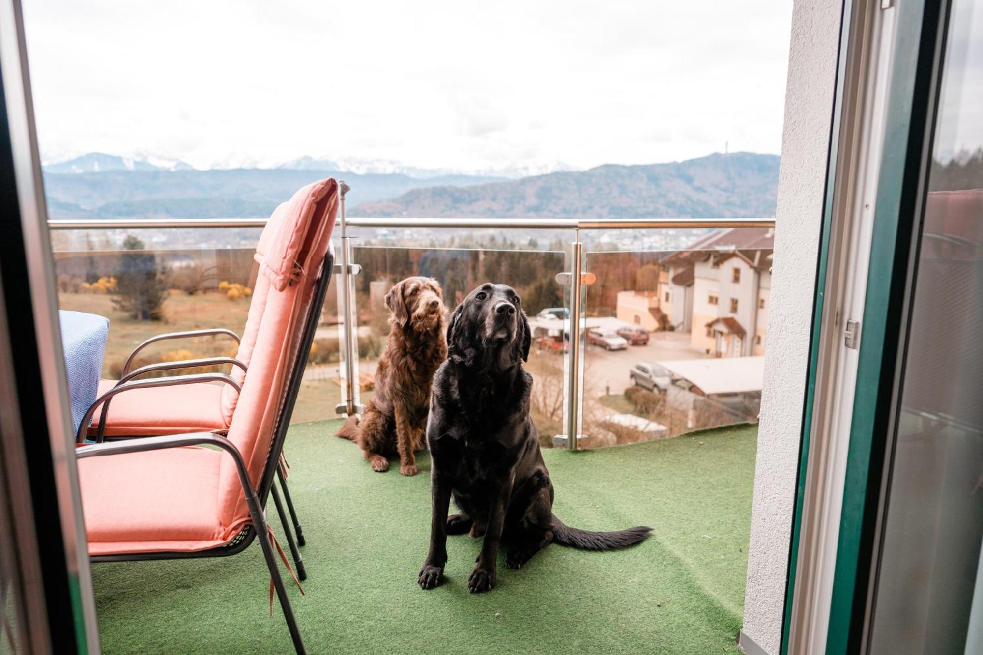 Urlaub Fuer Mensch Und Tier - Appartements Pirkhof Пёрчах-ам-Вёртерзе Экстерьер фото